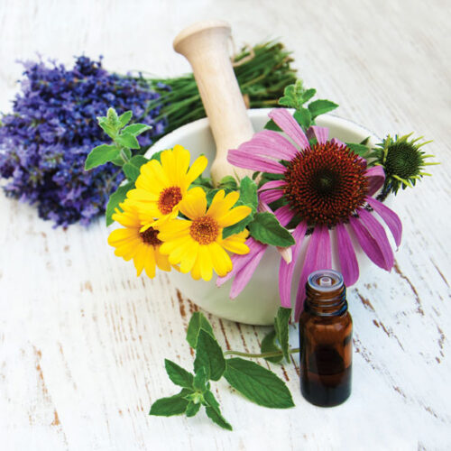 How to Harvest, Clean and Use Medicinal Herbs